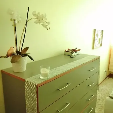 Apartment Platan 4d *