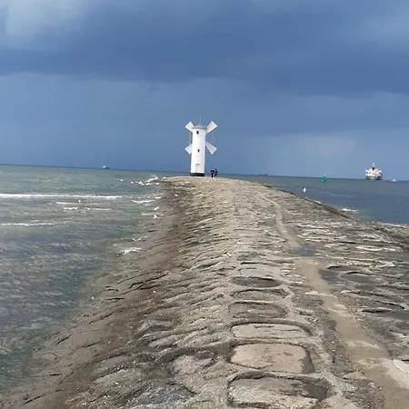 Cesarski Agnes *