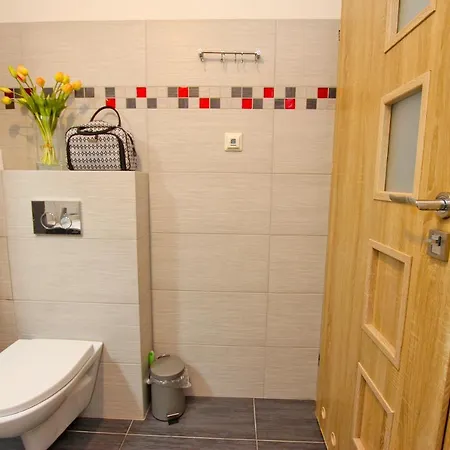 Visit Baltic - Podkowa Apartment Swinoujscie