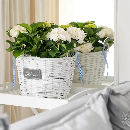 Apartment Klw Platan 10 - Free Parking