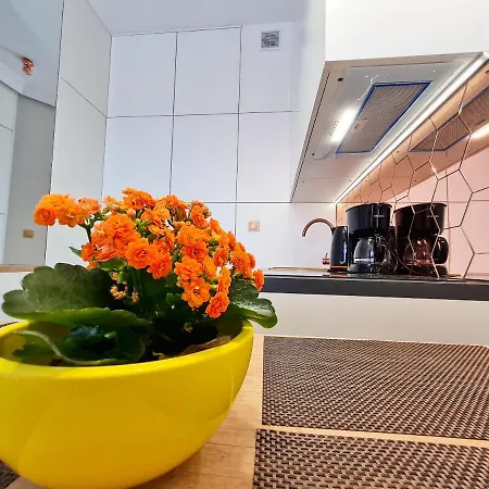 Visit Baltic - Platan Tower Victoria Apartment *