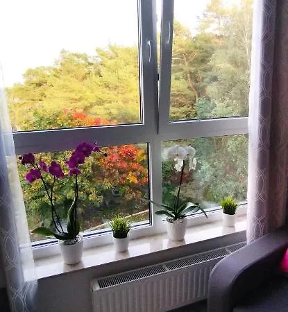 Apartament 
