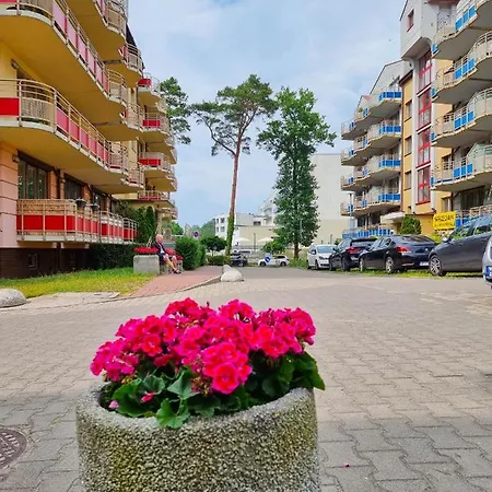 Visit Baltic - Mewa * Swinoujscie