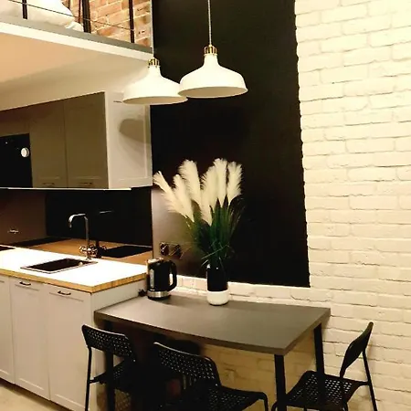 Lividus Czarna Mewa Apartment *