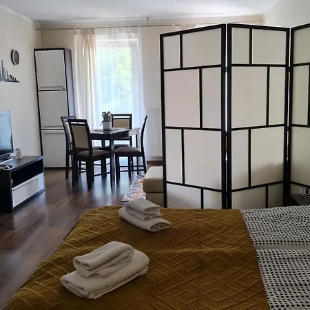 Apartament Concha Apartment