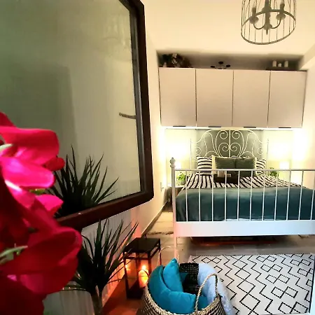 Aleksandry_ Ecco Balance Apartment