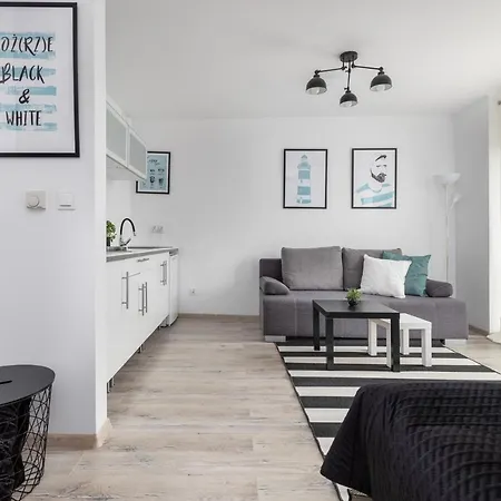 Apartament Black & White