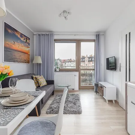 Wind Rose Quarter By Renters *