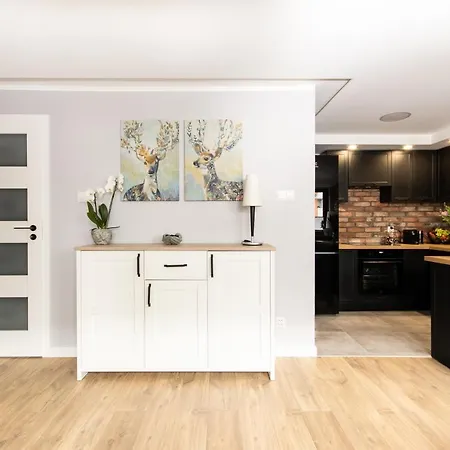 Twoja Wyspa Apartment Swinoujscie