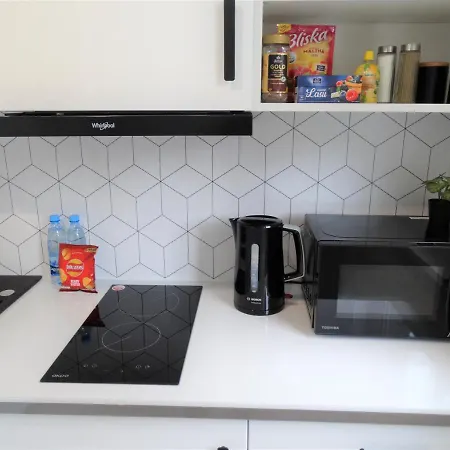 Centrum 1 Apartment *