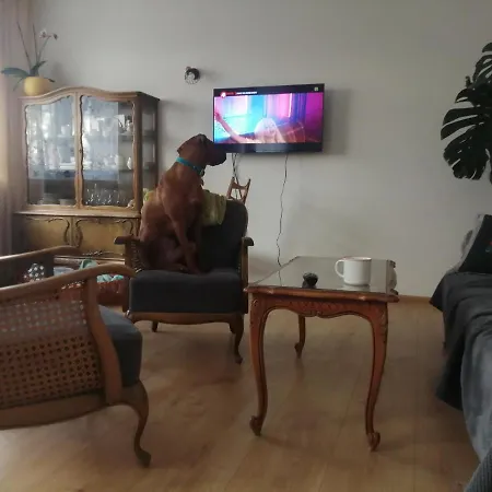 Apartment Husarska