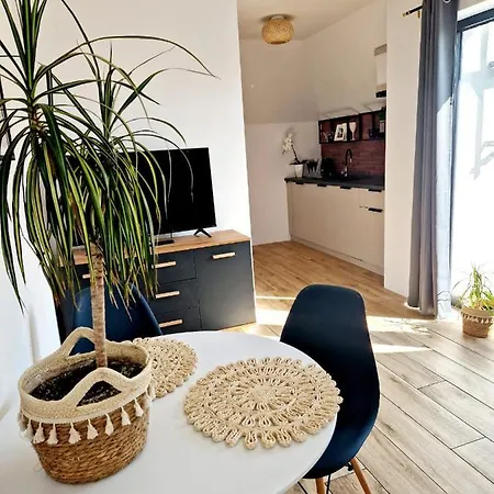 Amelia2 Apartment