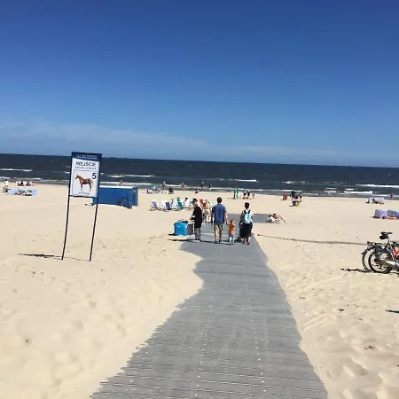 Kaisermoewe Swinoujscie