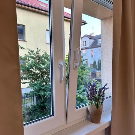 Apartment U Poli *