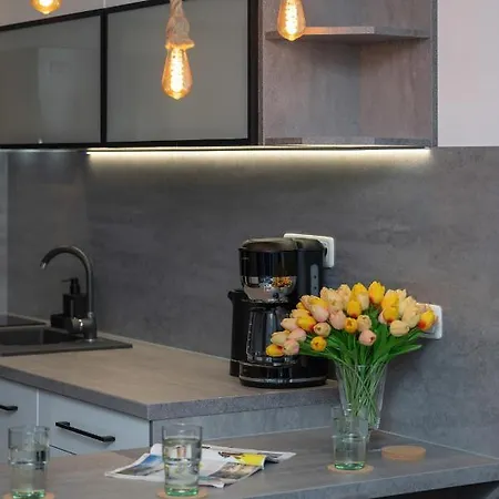 Modern Luzycka By Renters Apartment *