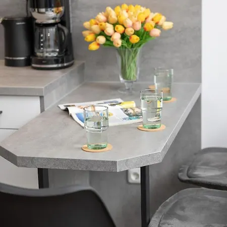 Modern Luzycka By Renters Apartment