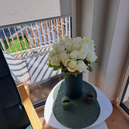 Apartment Rubus Sofii 305