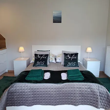Apartment Rubus Sofii 305