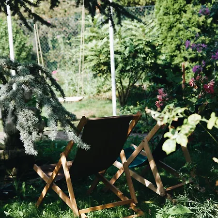 Powiew - - - Tennis Garden Breakfast At Baltic Sea *