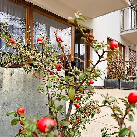 Visit Baltic - Sienkiewicza Loft Przy Plazy * Swinoujscie