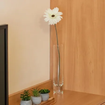 Apartment Charming Located Near The Promenade In By Renters *