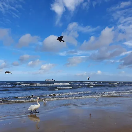 Perfektmari * Swinoujscie