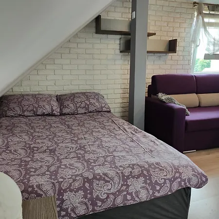 Homestay U Eli