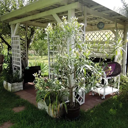 Holiday home In With Sauna And Garden *