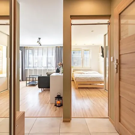 Dwa W Centrum - Darmowy Parking Apartment *