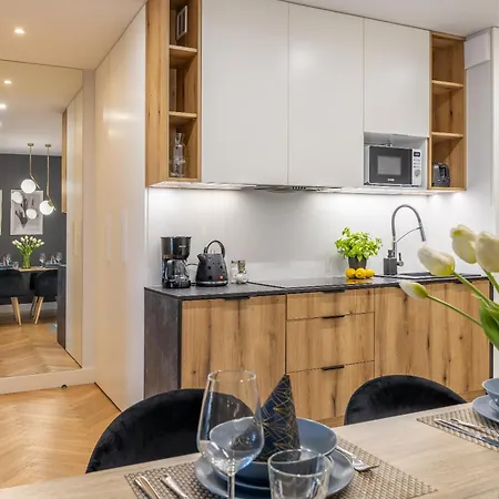 Apartment Ambria Matejki 17