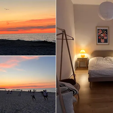 Visit Baltic - Scandi Platan
