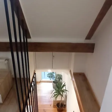 Apartment Loft 1