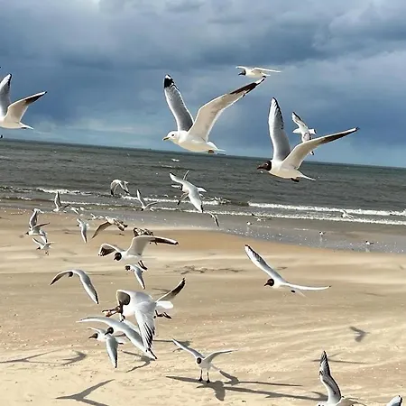 Apartment - Kormoran Swinoujscie
