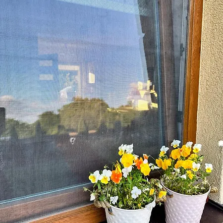 Pod Debami Homestay Swinoujscie