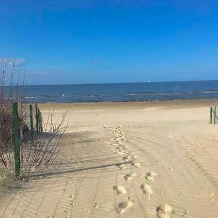 Lapis * Swinoujscie