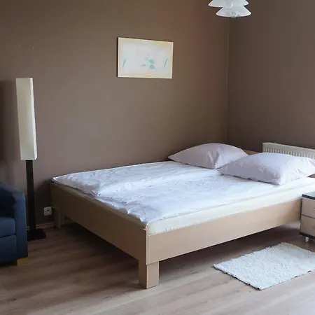 Zacisze Lesne Apartment *