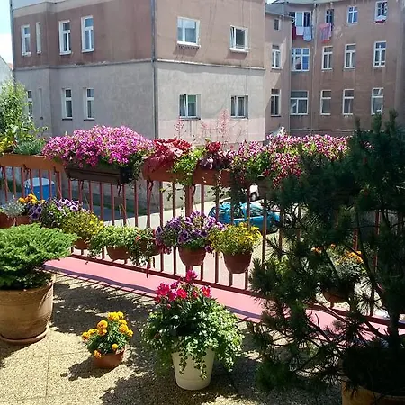 Ottaviano