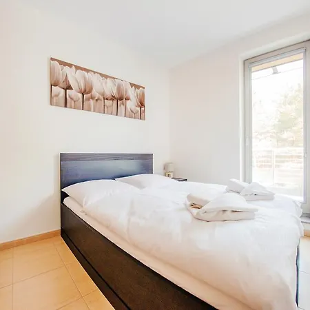 Sun & Snow Lesne Zacisze Apartment