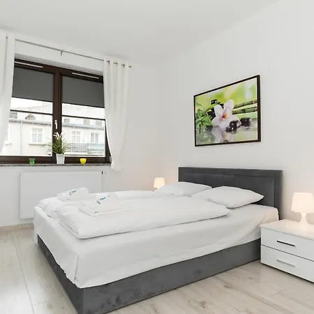 Wind Rose Quarter By Renters Apartment *