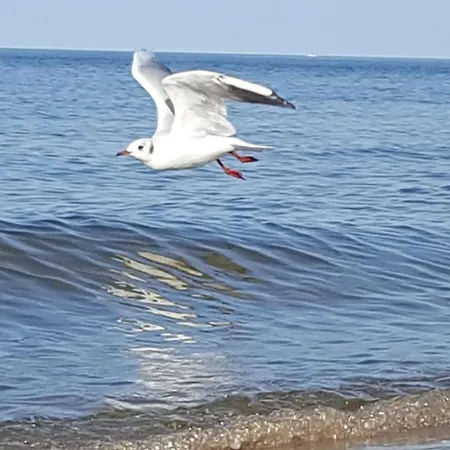 Perfektmari * Swinoujscie