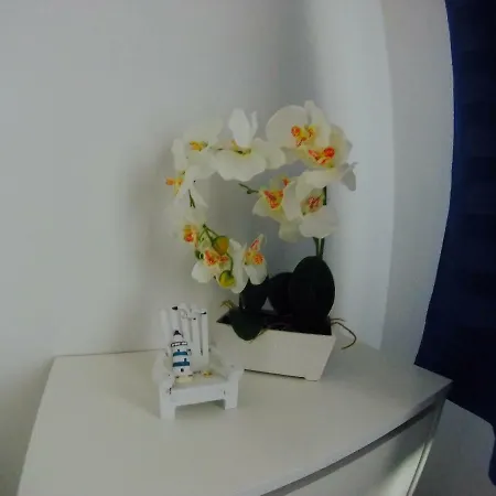 Andros Apartment *
