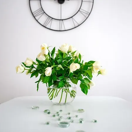 Apartment Baltic De Lux Platan *