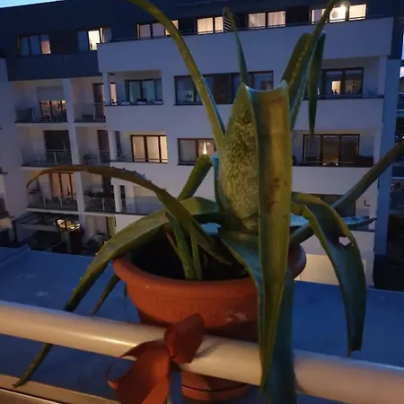 Apartment Reda *