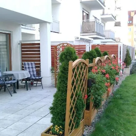 Platan Patio 2- Berry Swinoujscie